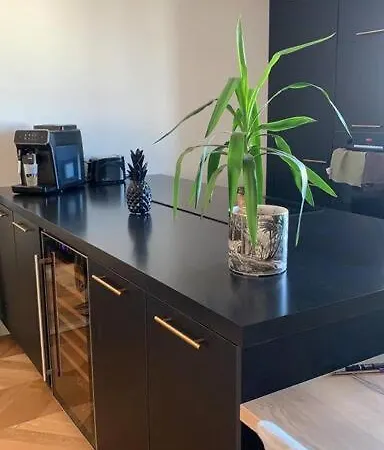 Appartement Superbe Duplex Centre De Lyon- Rooftop Et Parking Lyon