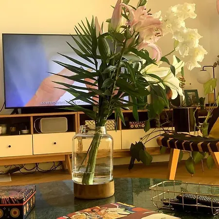 Appartement Superbe Duplex Centre De Lyon- Rooftop Et Parking *