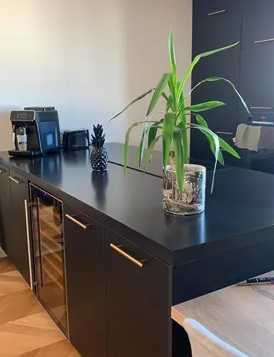 Appartement Superbe Duplex Centre De Lyon- Rooftop Et Parking Lyon